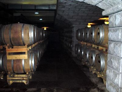 張裕國際葡萄酒城卡斯特酒莊好玩嗎,張裕國際葡萄酒城卡斯特酒莊景點怎么樣_點評_評價【攜程攻略】