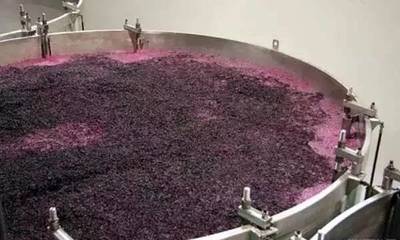 歷經(jīng)艱辛只為遇見你--一瓶葡萄酒的修煉